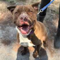 Thumbnail photo of Bubba #3