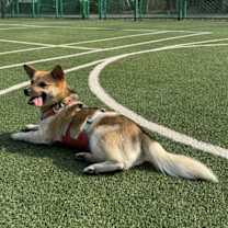 Thumbnail photo of Liel #3