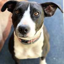 Thumbnail photo of Daisy June (“DJ”) #1