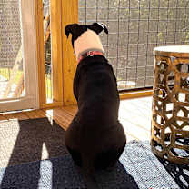 Thumbnail photo of Daisy June (“DJ”) #4