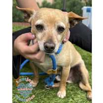 Thumbnail photo of Sampson #1