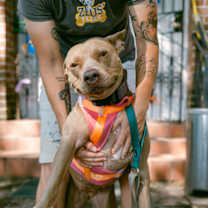 Thumbnail photo of Chyna #2