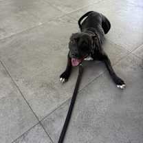 Thumbnail photo of Elena #1