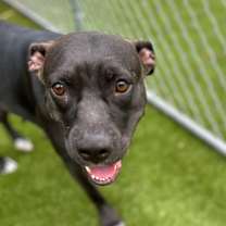 Thumbnail photo of Elena #2