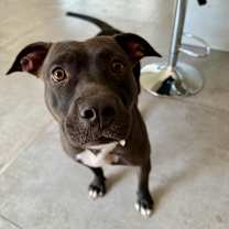 Thumbnail photo of Elena #3