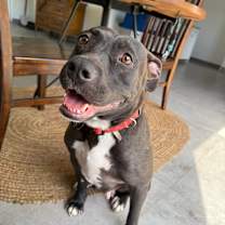 Thumbnail photo of Elena #4