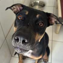 Thumbnail photo of Jessie #4