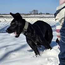 Thumbnail photo of Sprite #3