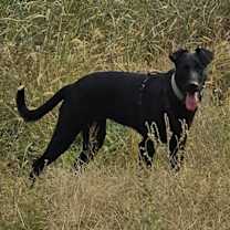 Thumbnail photo of Sprite #2