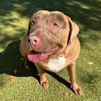 Thumbnail photo of Tessa #2