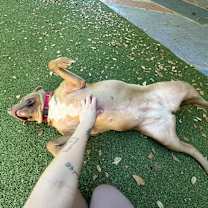 Thumbnail photo of Tessa #3