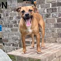 Thumbnail photo of CLIFTON #1