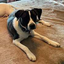 Thumbnail photo of Sammy #1