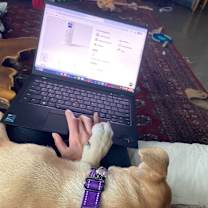 Thumbnail photo of Sweetums Muppet #2