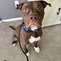 Thumbnail photo of Marky Mark #2