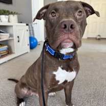 Thumbnail photo of Marky Mark #3