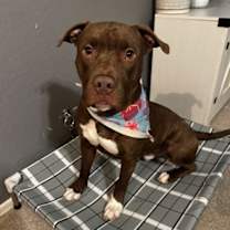 Thumbnail photo of Marky Mark #4