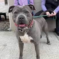 Thumbnail photo of Putti #1