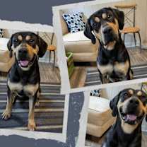 Thumbnail photo of Lady Bird #2