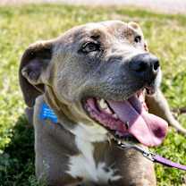 Thumbnail photo of Bell-amazing #1