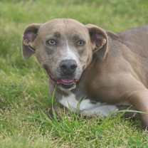 Thumbnail photo of Bell-amazing #3