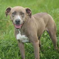 Thumbnail photo of Bell-amazing #4