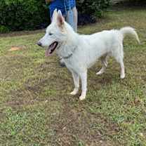 Thumbnail photo of Ghost #1