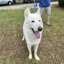 Thumbnail photo of Ghost #2