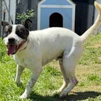 Thumbnail photo of Maddox #2