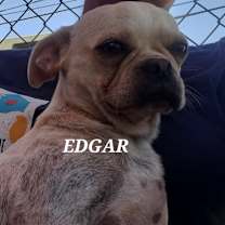 Thumbnail photo of Edgar #2