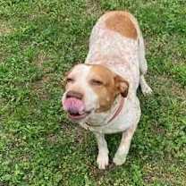 Thumbnail photo of Remey #1