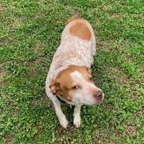 Thumbnail photo of Remey #2