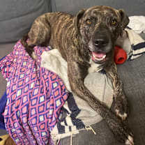 Thumbnail photo of Mrs. Claus (I have a Secret Crush!) #2