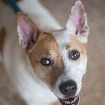 Thumbnail photo of Crissy #1