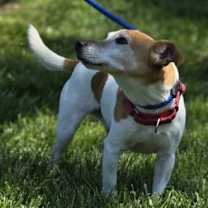 Thumbnail photo of Trevor * #4