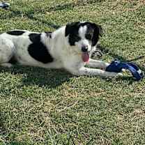 Thumbnail photo of Cam #2