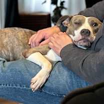 Thumbnail photo of Casey #2