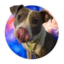 Thumbnail photo of Casey #3