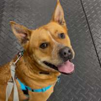 Thumbnail photo of Kip #1