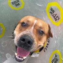 Thumbnail photo of Kip #2