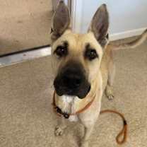 Thumbnail photo of Captain #3