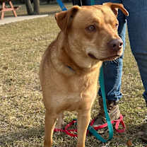 Thumbnail photo of Pickles #2