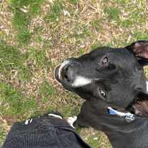 Thumbnail photo of Little Baby #3