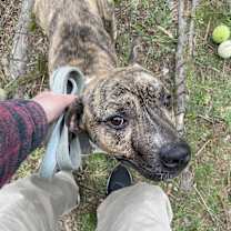 Thumbnail photo of Cooper #1