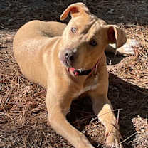 Thumbnail photo of Stephie #1