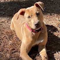 Thumbnail photo of Stephie #2