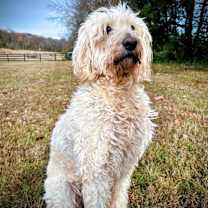 Thumbnail photo of Nova #6931 #2