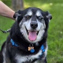 Thumbnail photo of Marshall #2