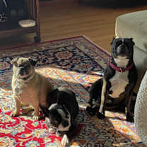 Thumbnail photo of Chiquita #4