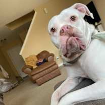 Thumbnail photo of Rilee #2